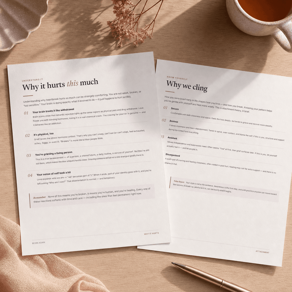 Begin Again — Break-Up Recovery Guide